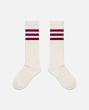 Three Stripe Socks (Multi)