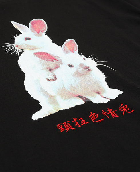 fr2-fxxking-rabbits-photo-t-