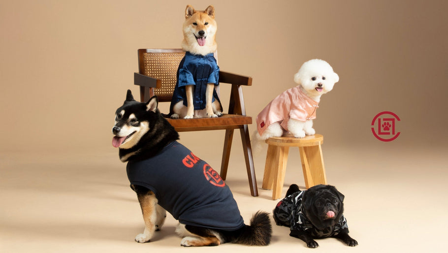 CLOT UNVEILS NEW PET APPAREL COLLECTION