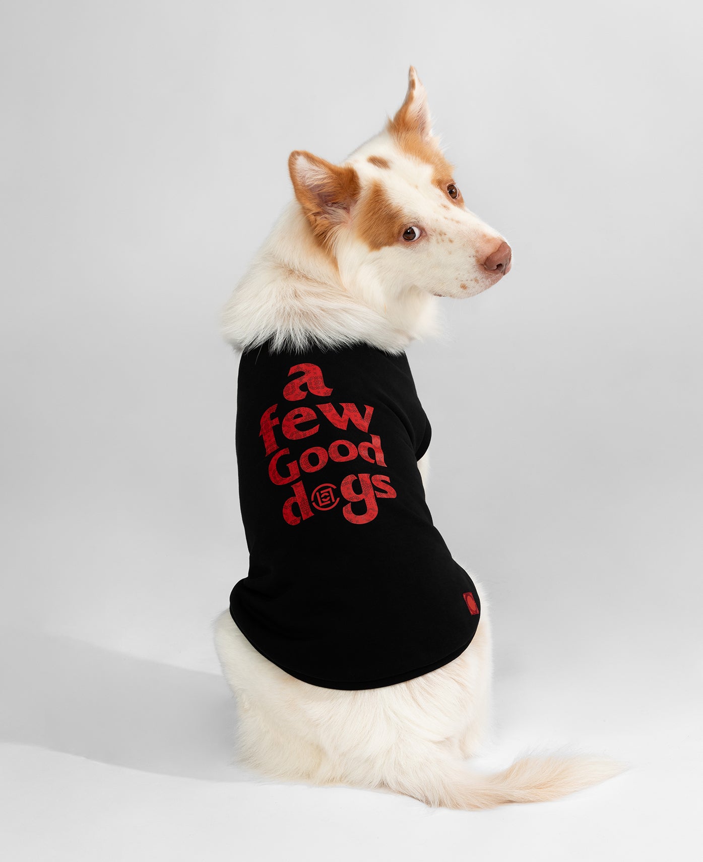 CLOT x AFGK Pet Vest (Black)