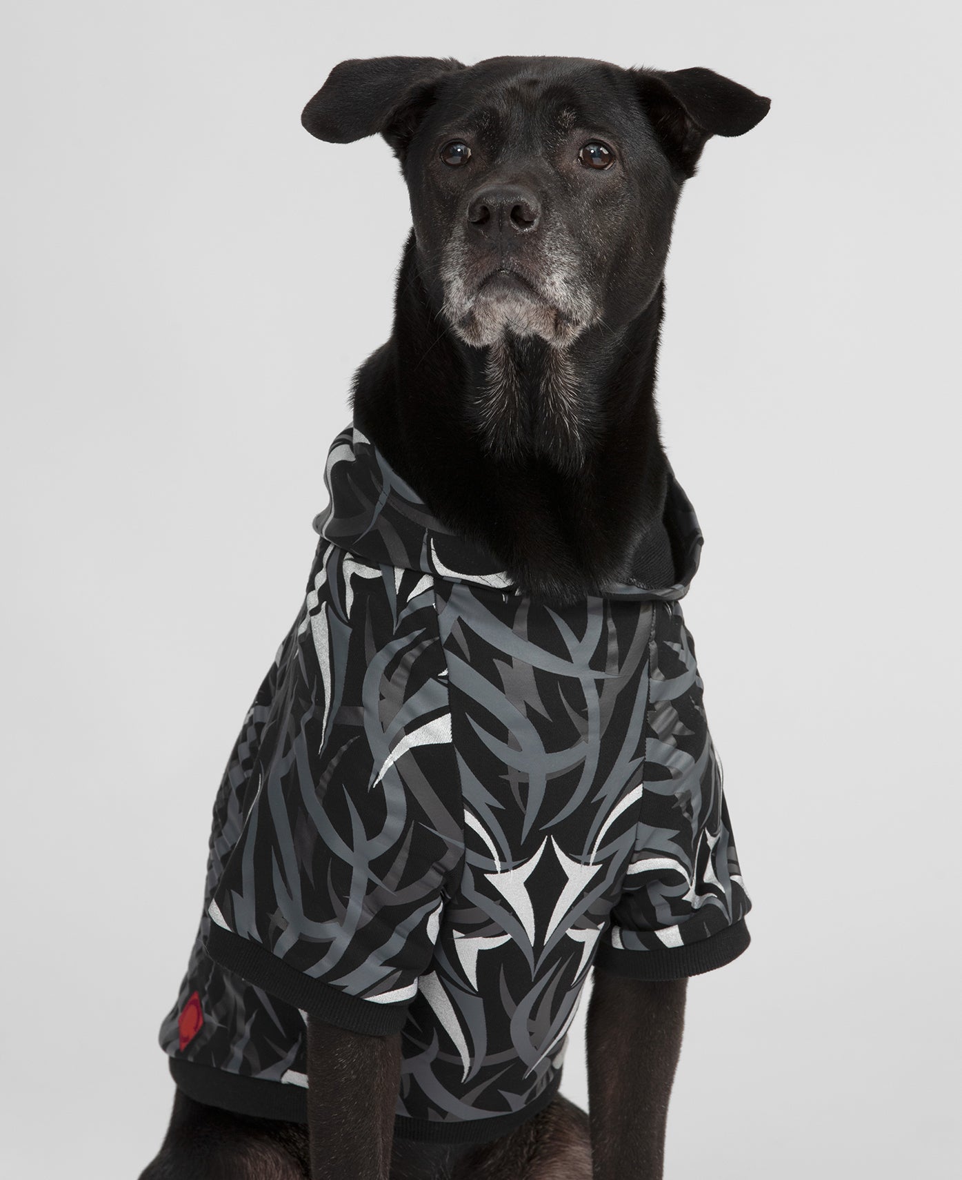 Egra Pet Hoodies (Black)