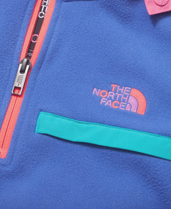 The north face hotsell 92 rage fleece hoodie