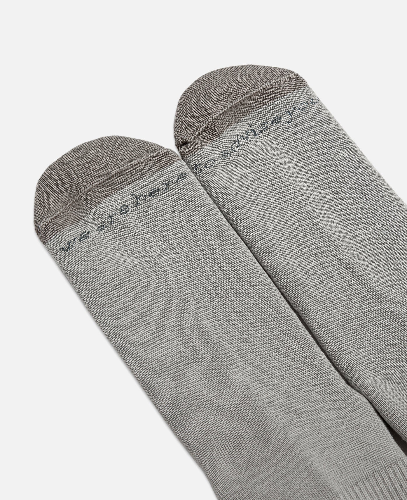 Abc. 123. Socks (Grey)