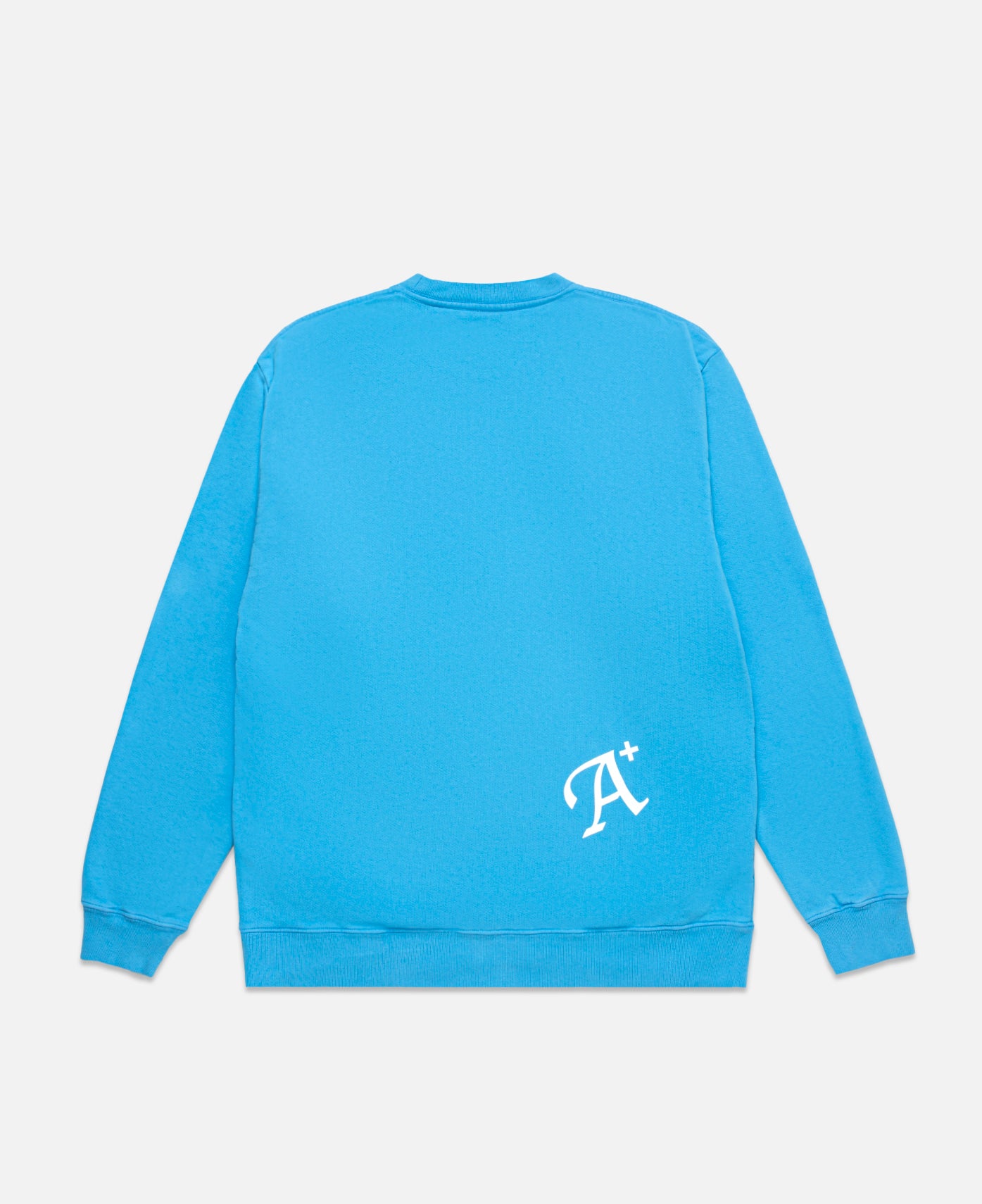 Daisy Crew Neck Sweat (Blue)